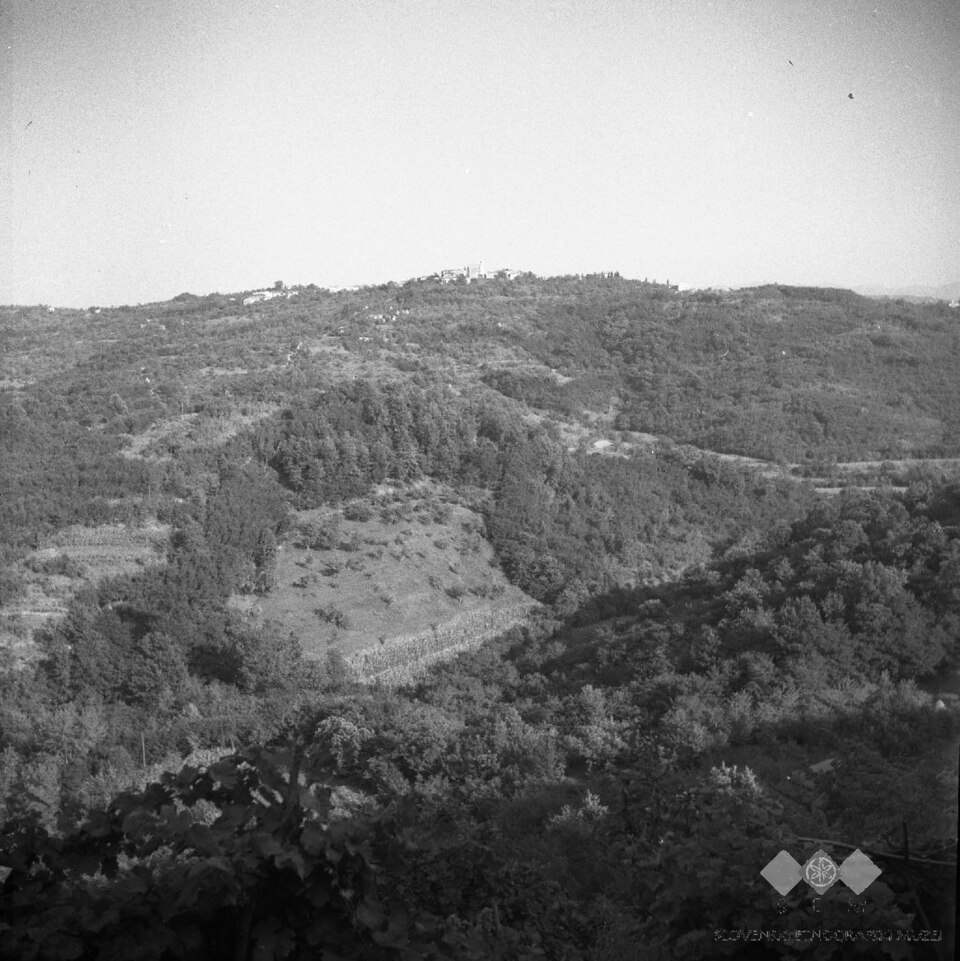 Dolnje Cerovo