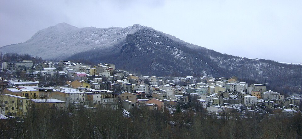 Quadri