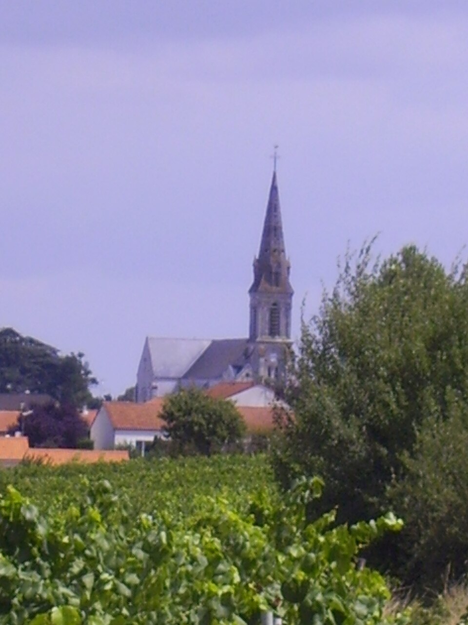 Bouzillé