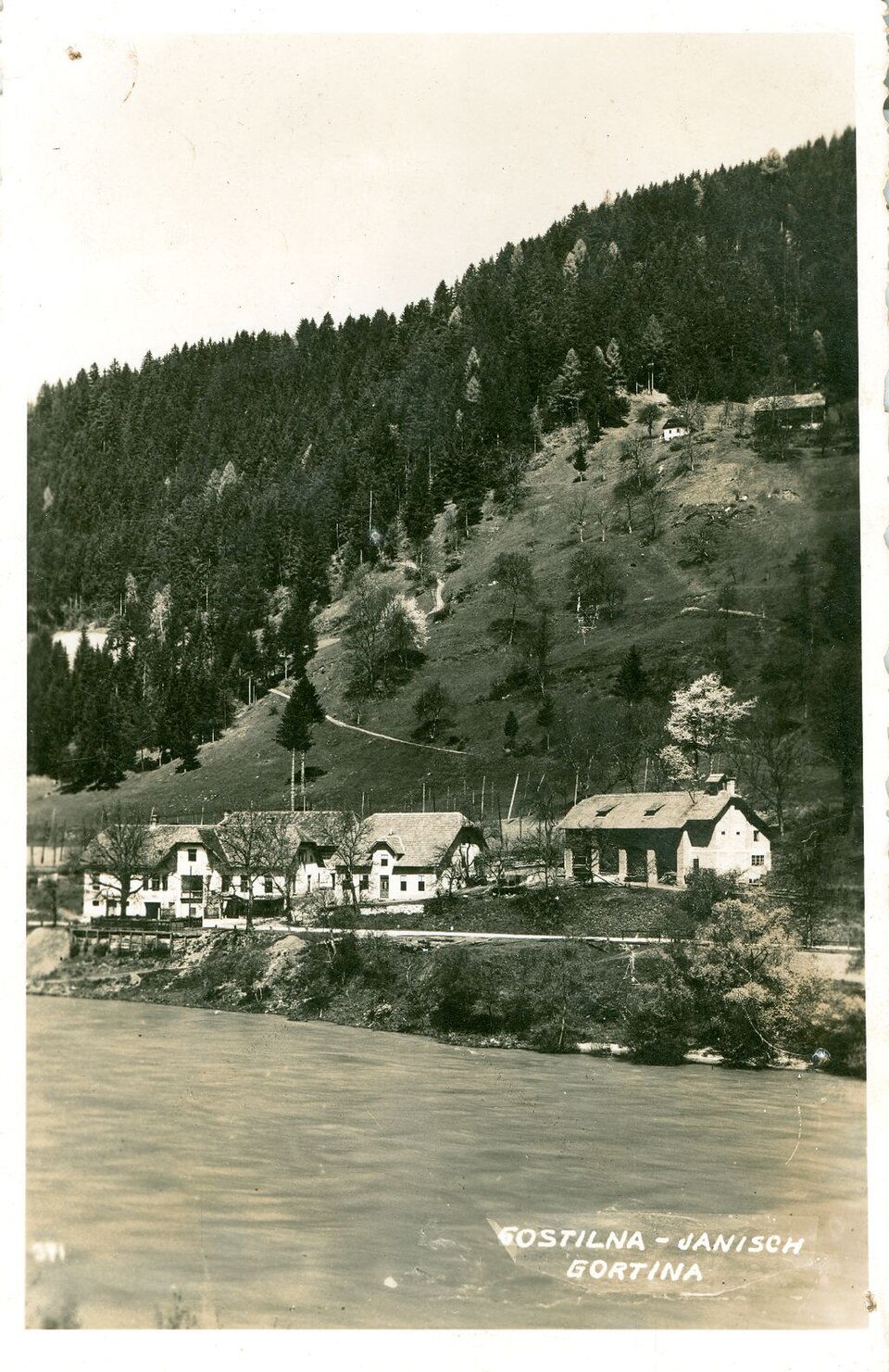 Gortina