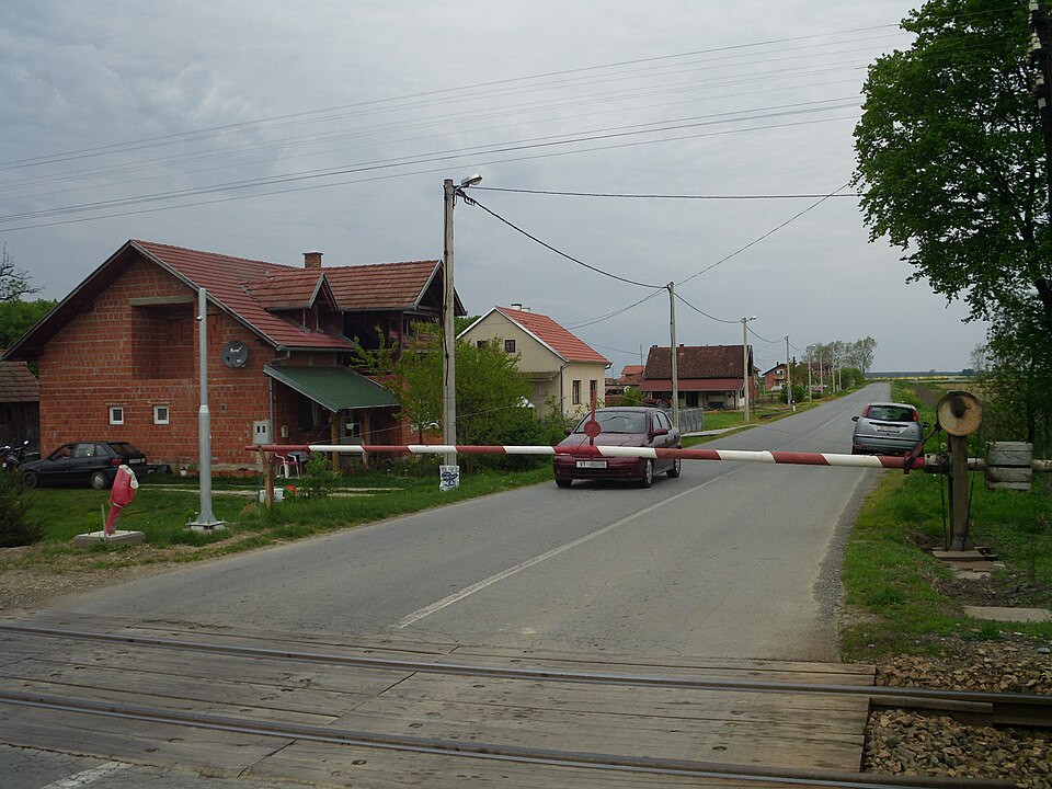 Pčelić