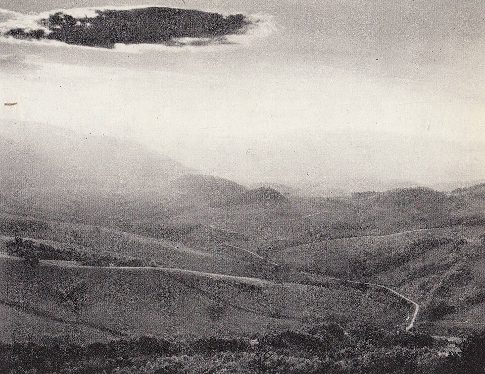 Brzegi Górne