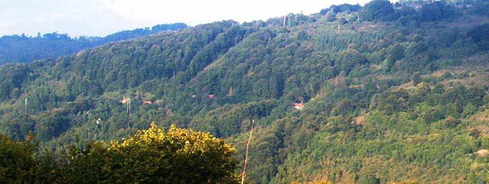 Bitvrđa