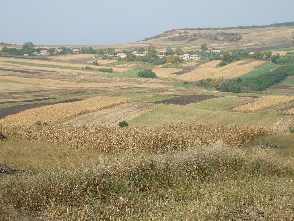 Dâmburile