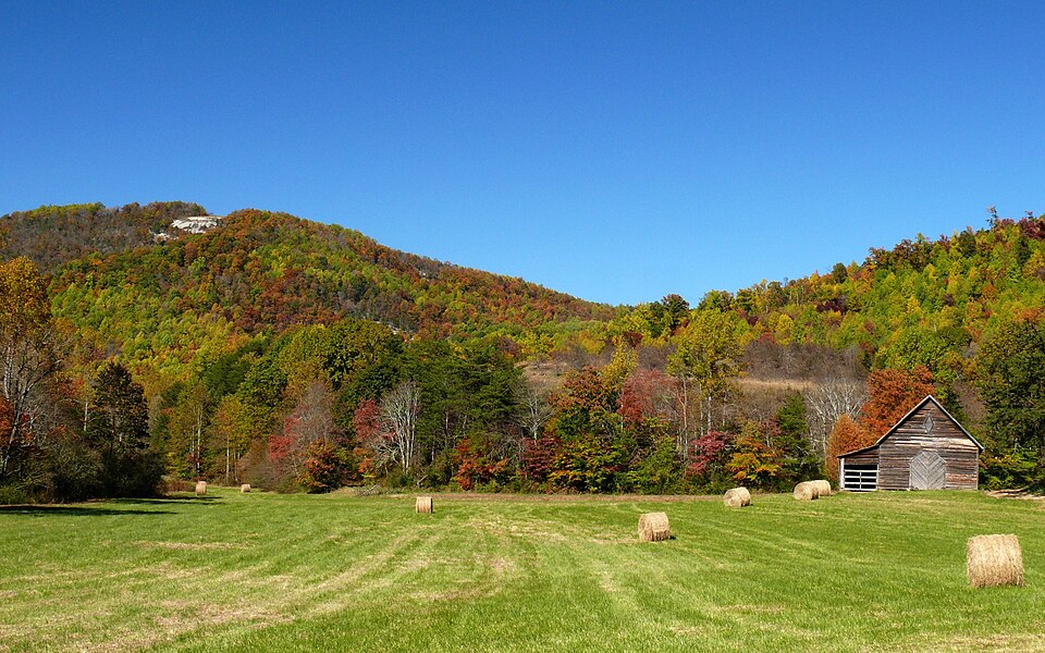 Alexander County