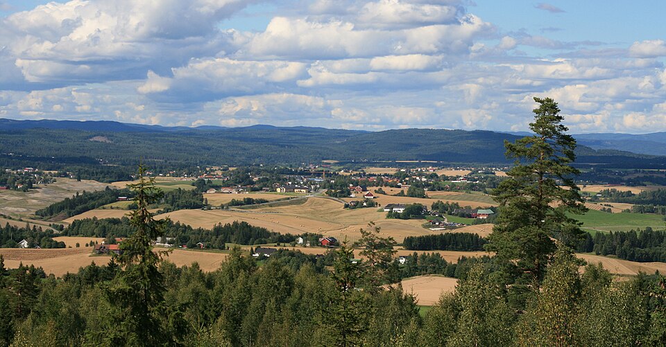 2020 Gjerdrum landslide