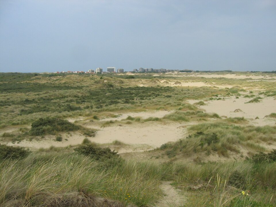 Westhoek