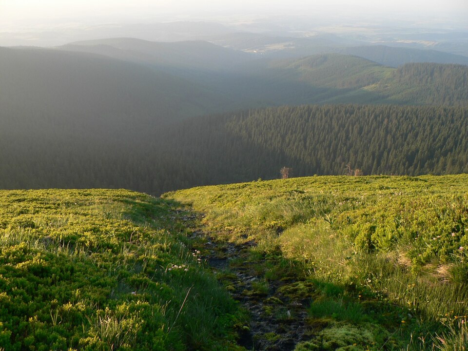 Moravice