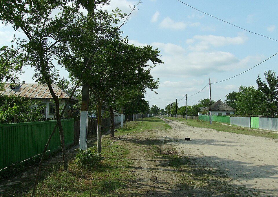 Letea