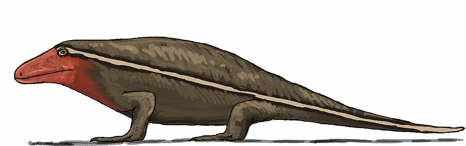 Archaeothyris