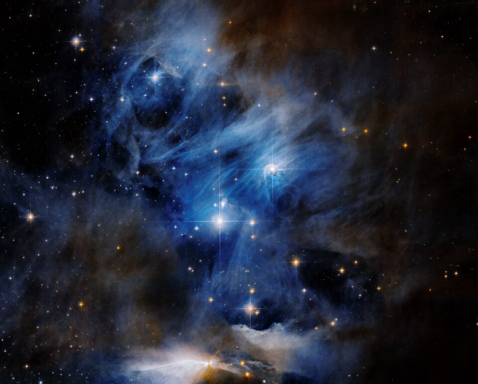 IC 2631