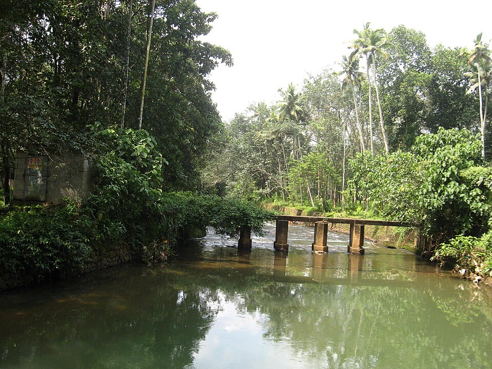Kaanam