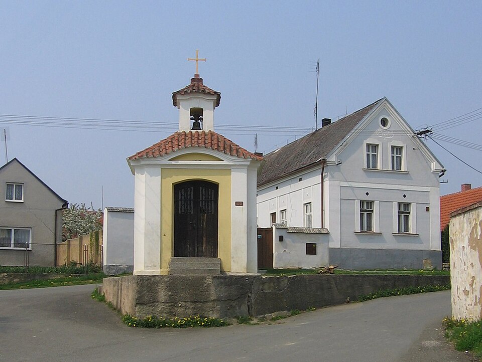Plešnice
