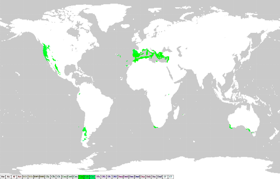 Mediterranean climate