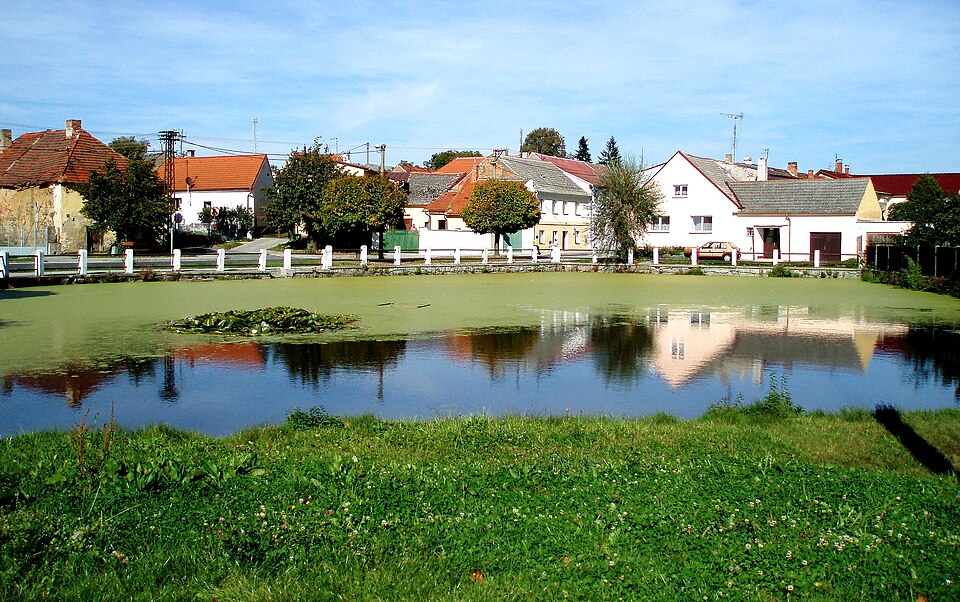 Koloveč