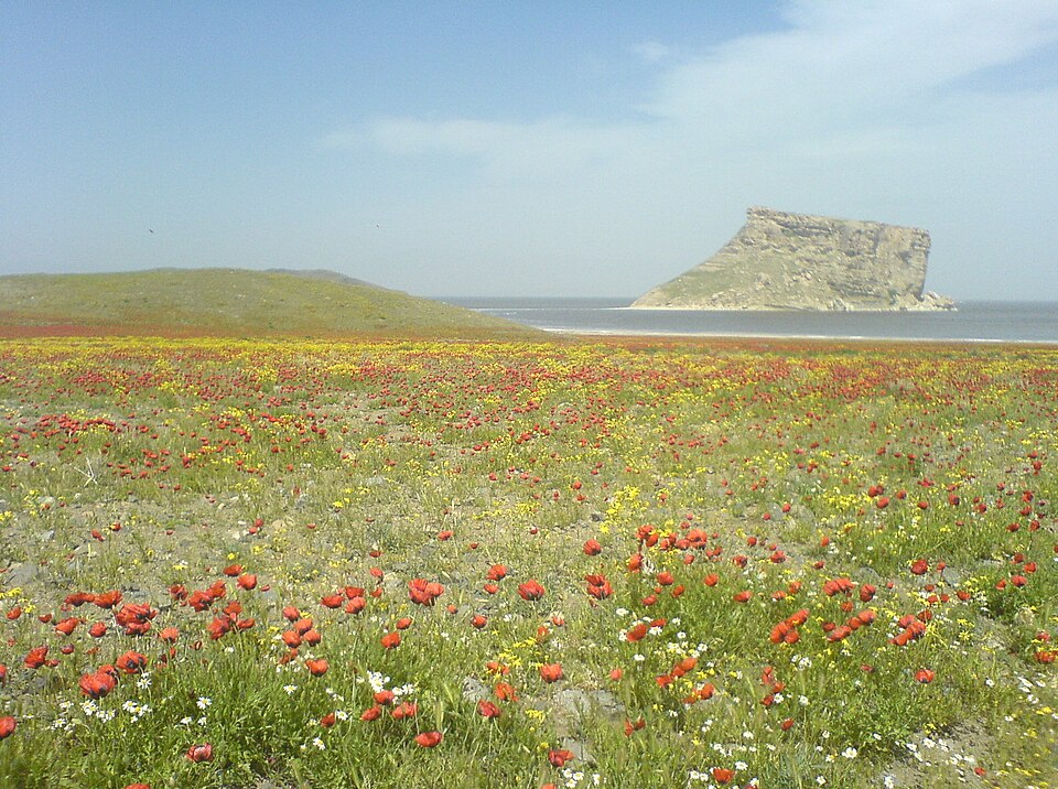 Kazem Dashi