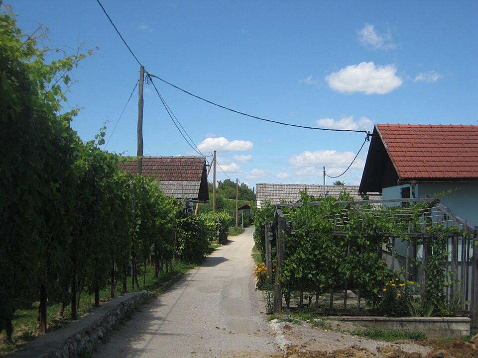 Veliki Rigelj