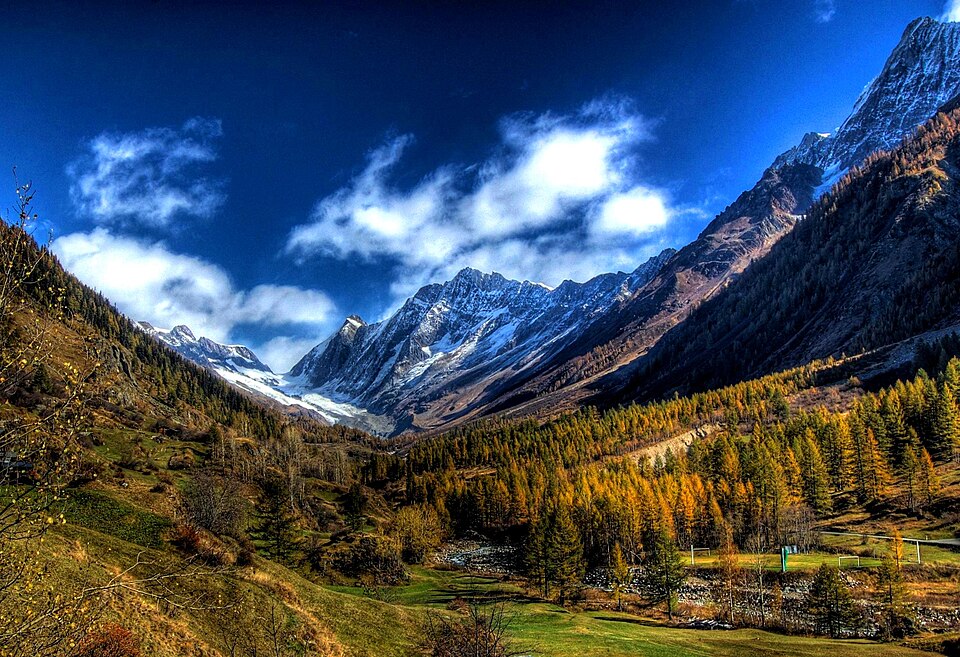 Schinhorn