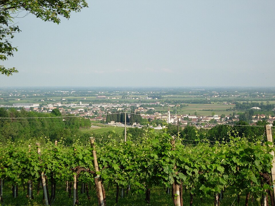 Susegana