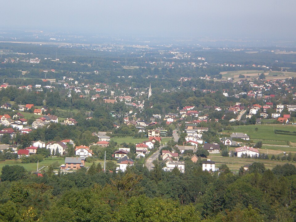 Kozy