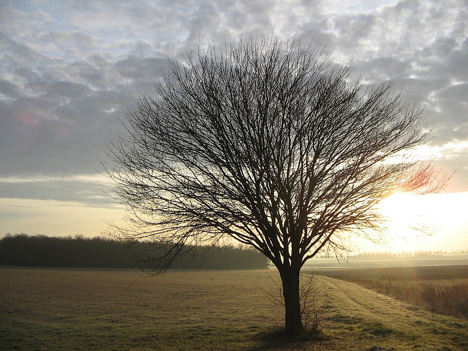 Varennes