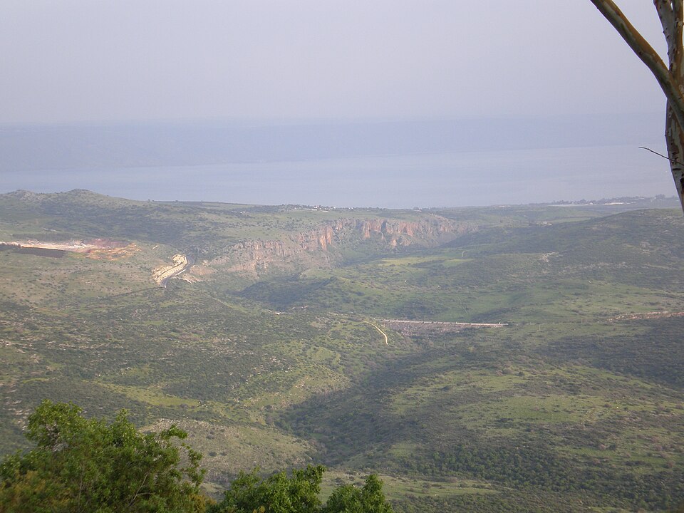 Amirim