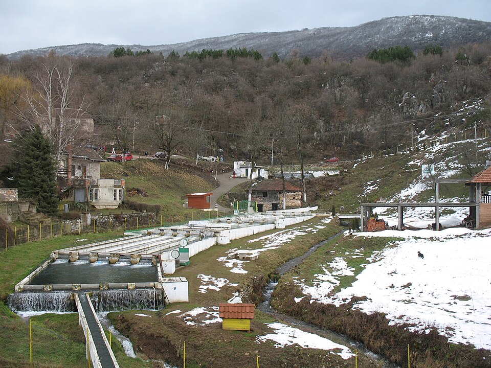 Gornji Dušnik
