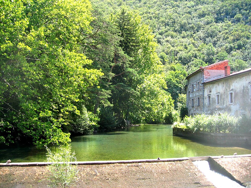 Vipava