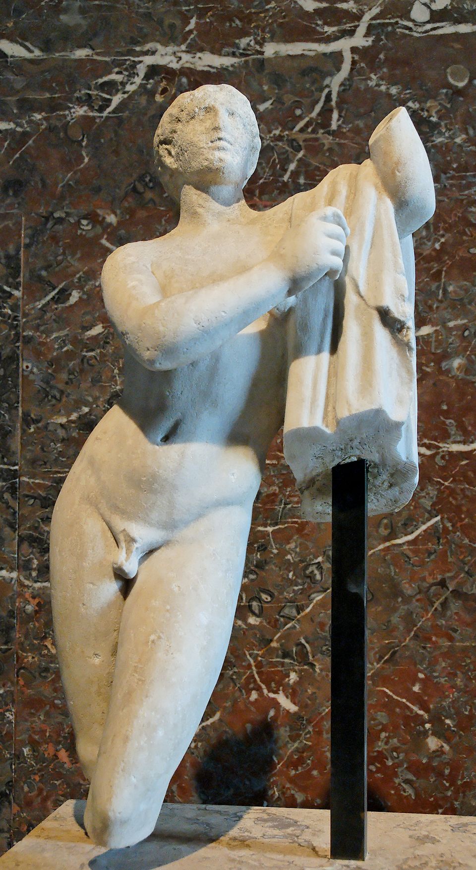 Pothos