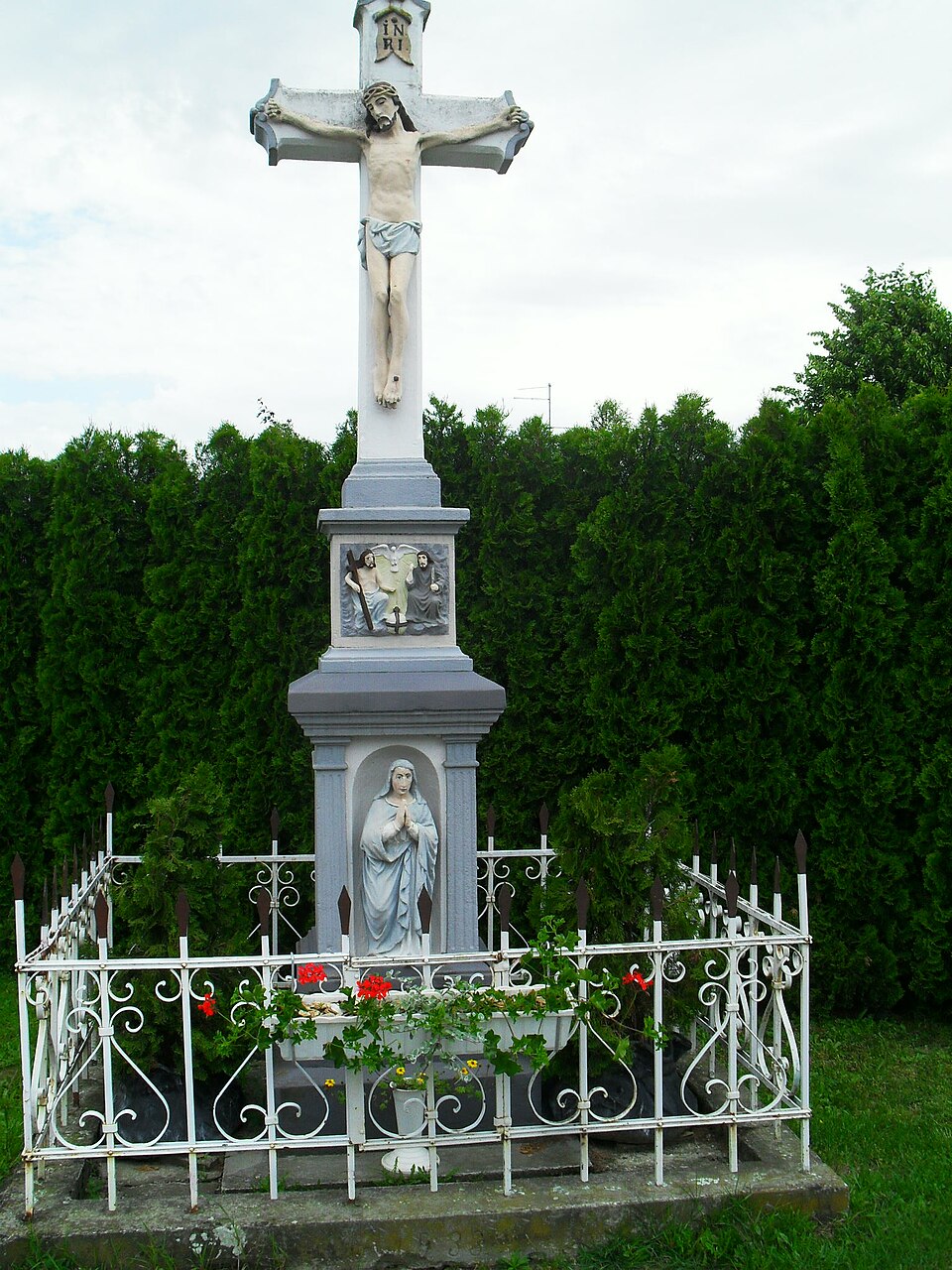 Vrhovljan