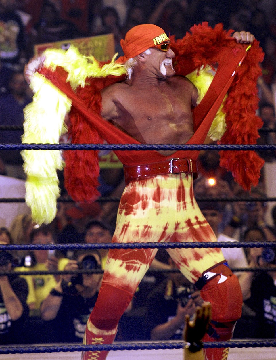 professional wrestler