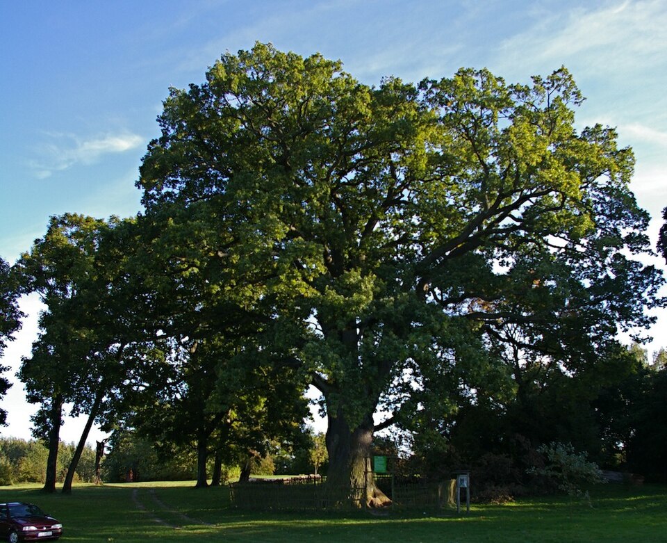 Hniszów
