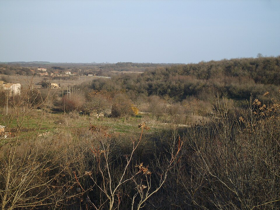 Tvarditsa