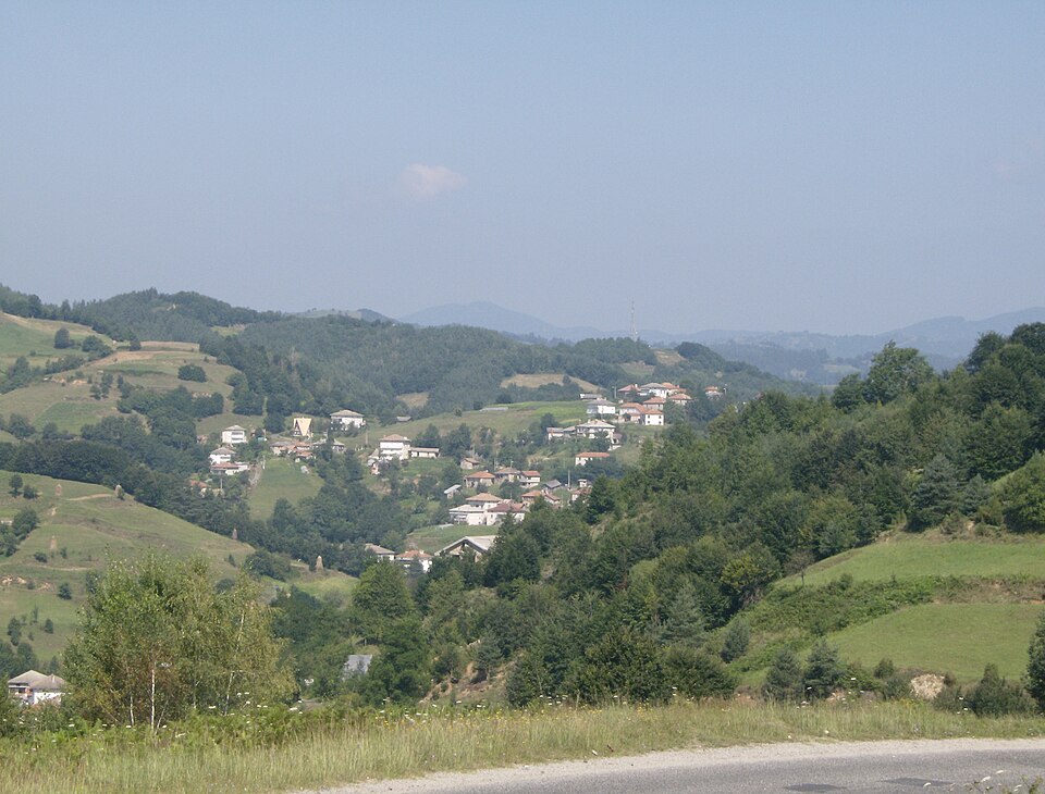 Padina