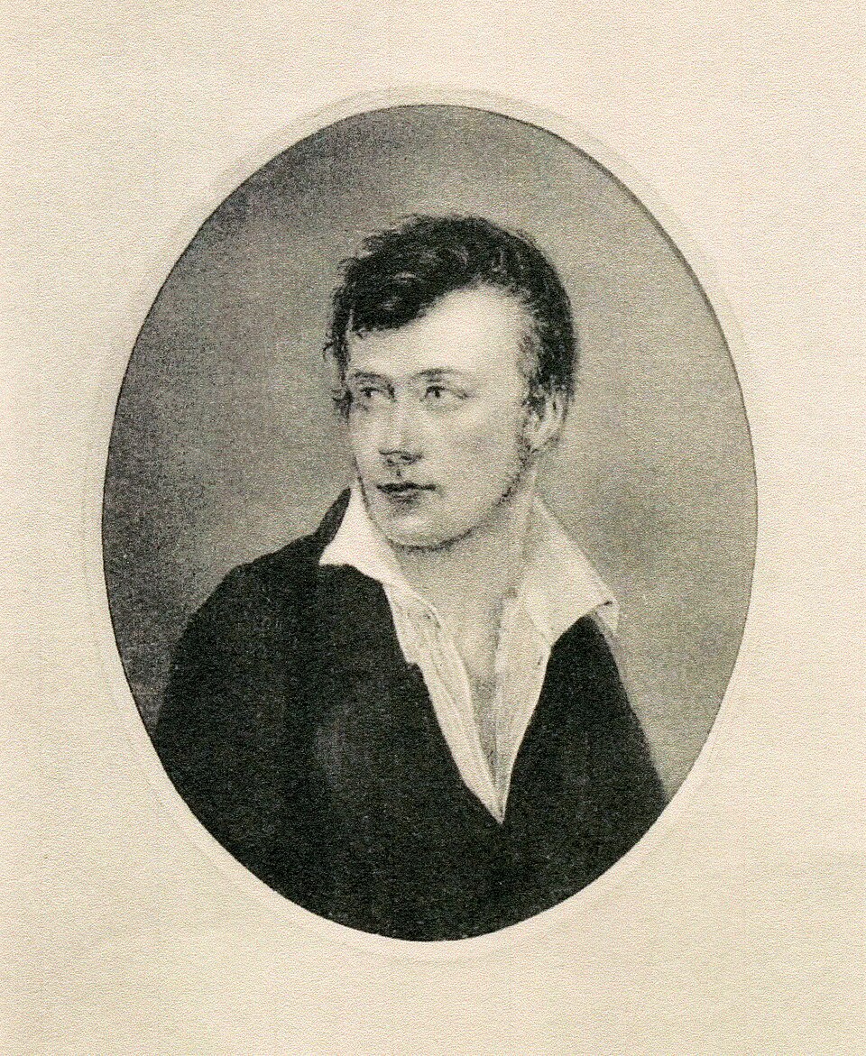 Johan Coenraad van Hasselt