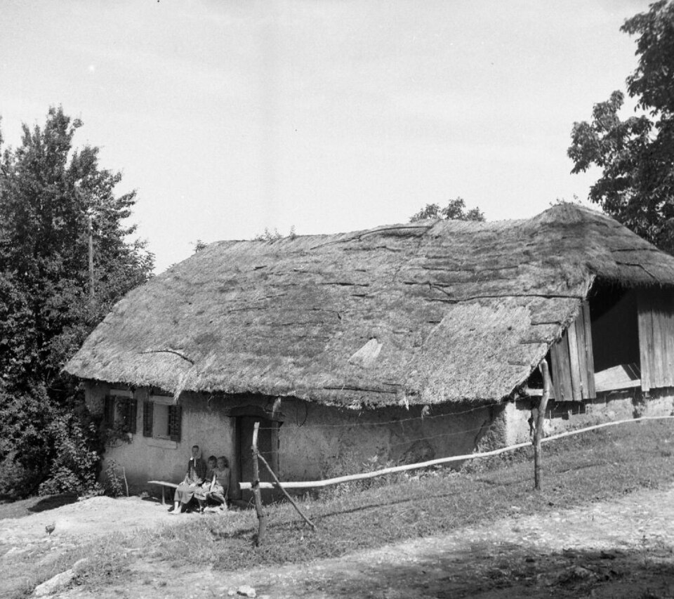 Avguštine