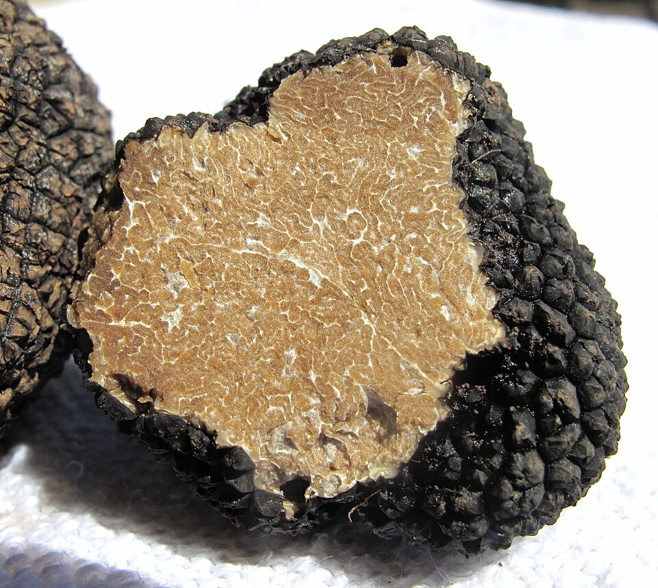 summer truffle