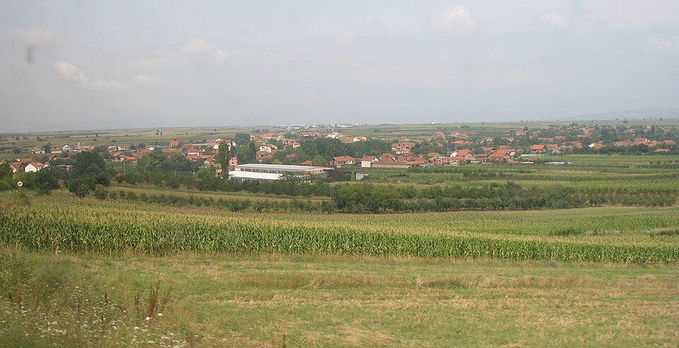 Jug Bogdanovac