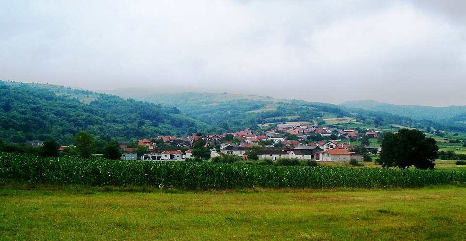 Snegotin