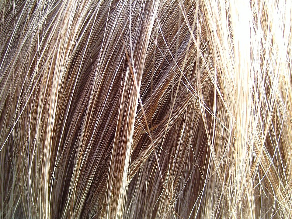 blond hair