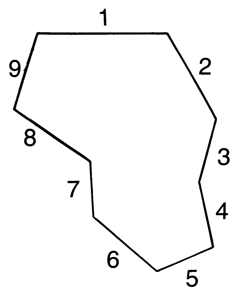 nonagon