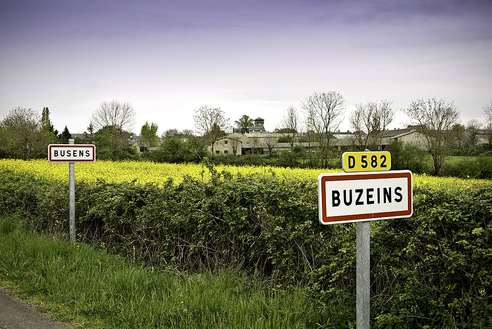 Buzeins