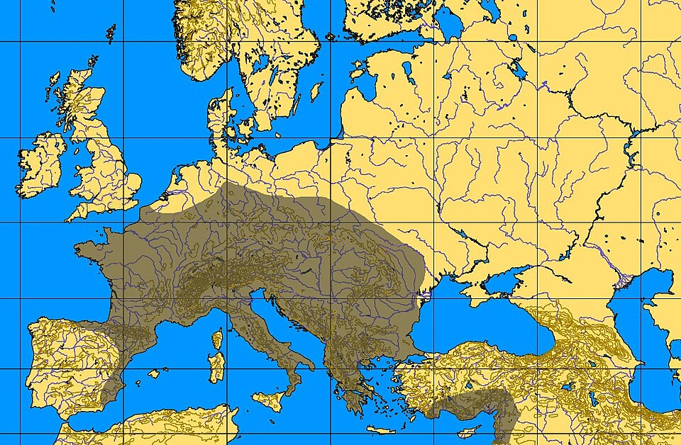 Aurignacian