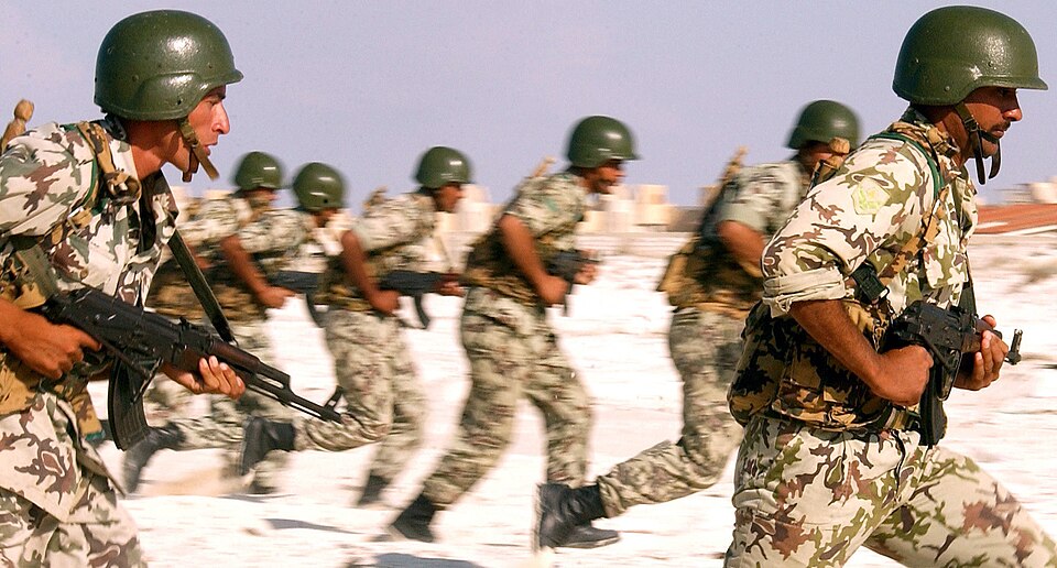 Egyptian Armed Forces