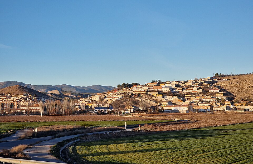 Pinos Puente