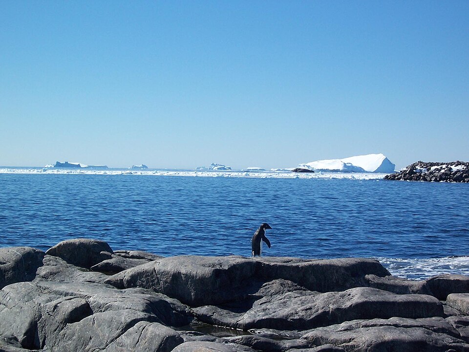 D'Urville Sea