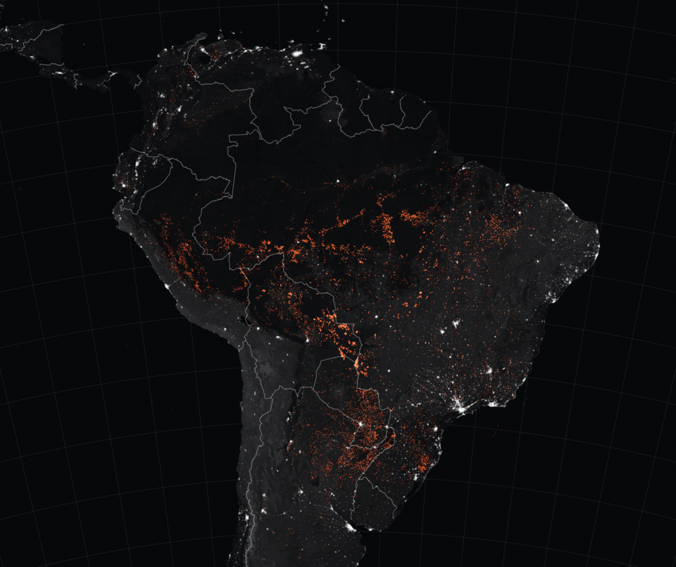 2019 Amazon rainforest wildfires