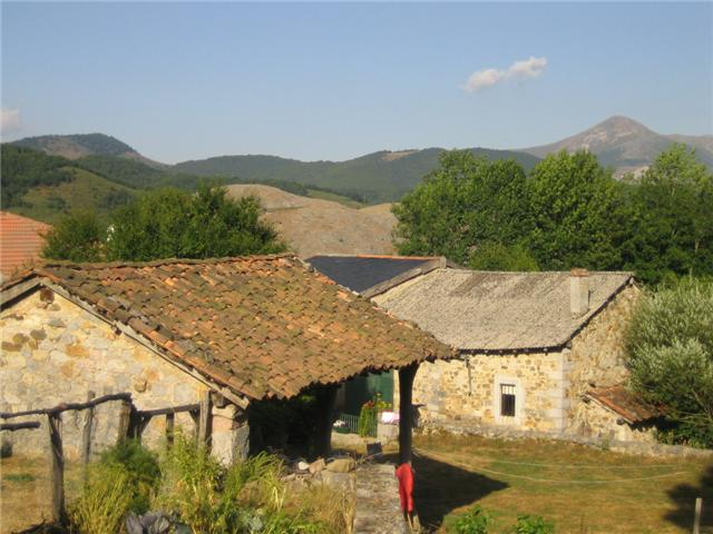 Acebedo