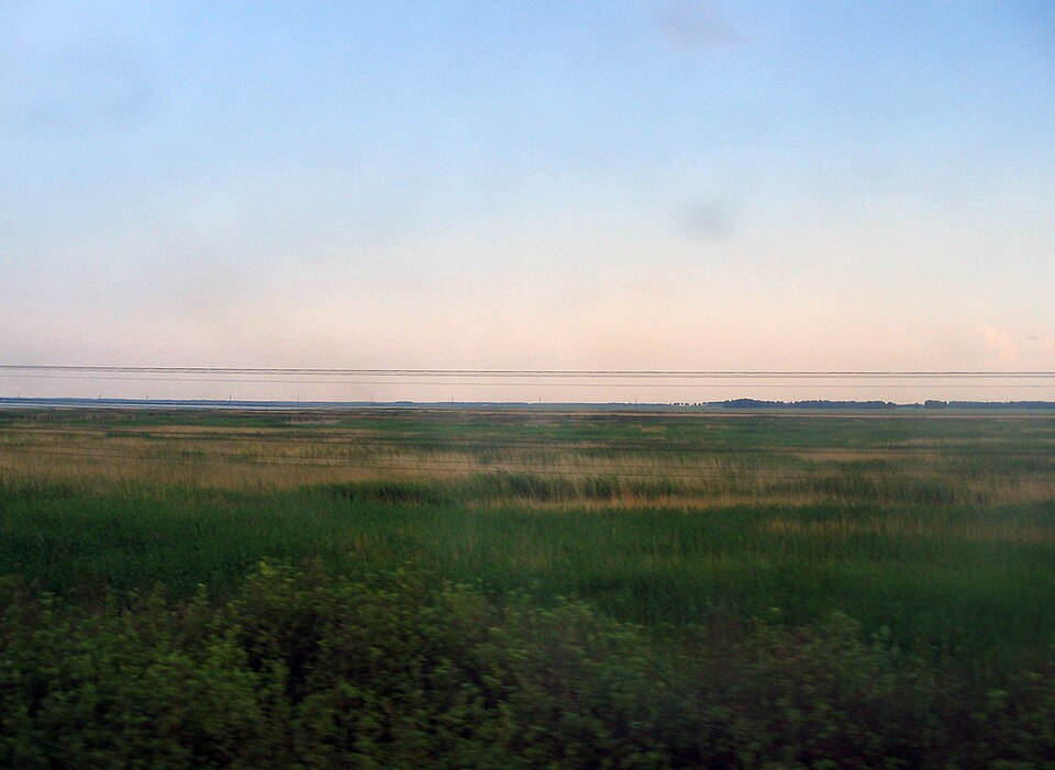 Baraba Steppe