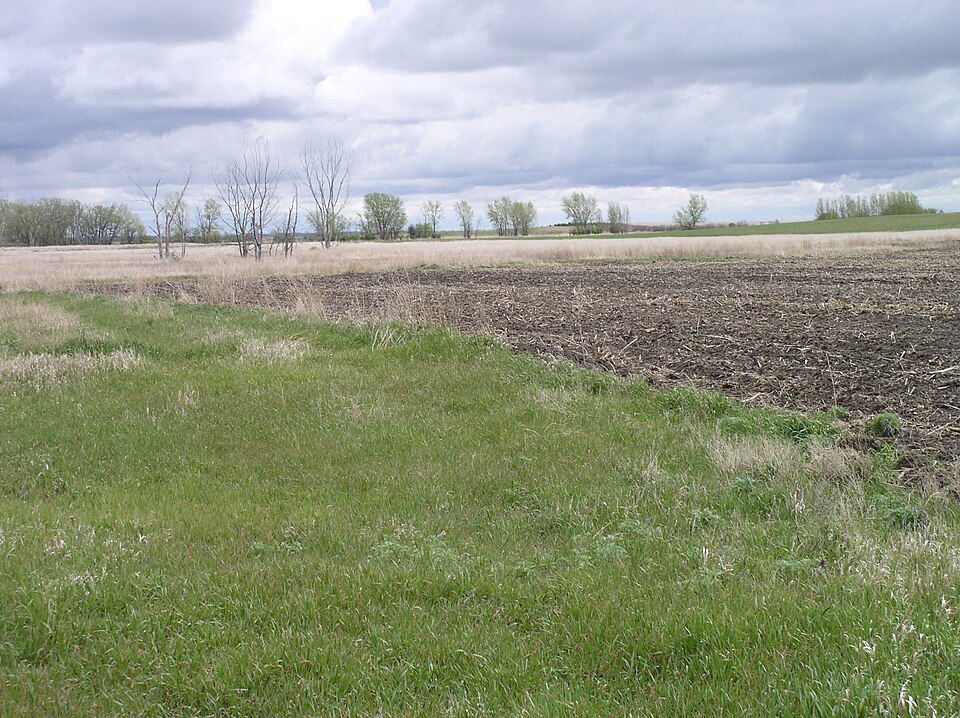 Campbell County